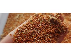 刘集黄酒文化的忠诚传承者、市场的积极推动者、品牌化的积极践行者。