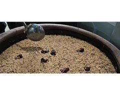 闻风倒黄酒｜我们和我们的加盟商